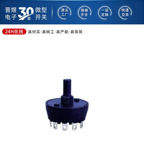 ZE-539 机械式转动开关